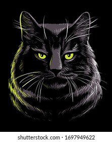 Close-up portrait of serious black cat, front view, isolated on black background.