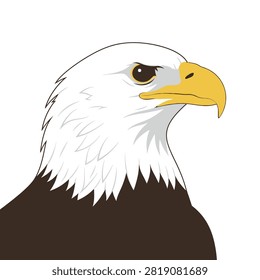 Close-up profile of a bald eagle with detailed feathers and piercing gaze.