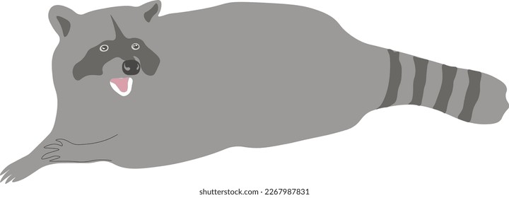 Close-up of a raccoon in front isolated on a white background. cartoon drawing. vector design eps 10