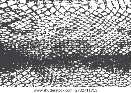 Closeup Realistic Snake Skin Texture Pattern