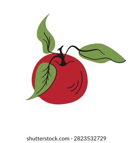 Close-up red apple with detailed leaves and stem, flat hand-drawn vector illustration isolated on white