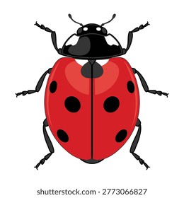 Close-up of a red ladybug with black spots on its shiny back, isolated on white background, macro photography