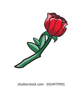 Closeup of red rose, flower with leaves and petals, countours of which are of black color, icon on vector illustration isolated on white background