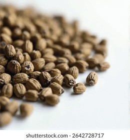 A close-up shot reveals a pile of light brown coriander seeds scattered on a white background, with some seeds in sharp focus while others are blurred, creating a depth-of-field effect.