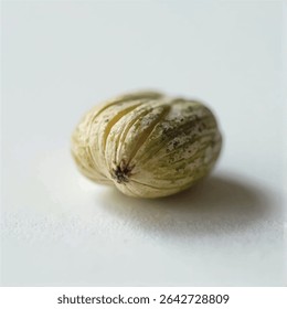 A close-up shot reveals a single, slightly opened seed, exhibiting a light green and beige hue, resting on a subtly textured off-white surface.