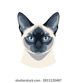 Closeup of a Siamese cat face