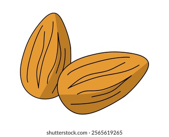 A close-up of a single almond nut with its brown skin and ridges, against a plain white background