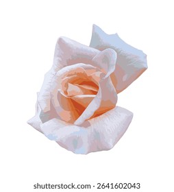 Close-up of a single peach-pink rose isolated on white background. Delicate petals and soft colors emphasize the romantic and elegant nature of this classic flower. For design. Vector.