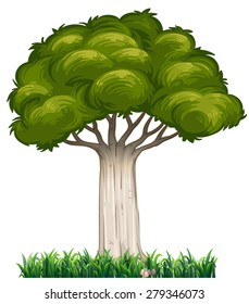 Closeup single tree with grass underneath