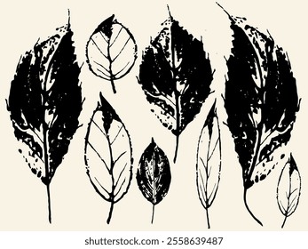 Close-up skeleton dry leaf vein, Pattern with autumn leaves. rotting dry leaves, Realistic autumn foliage. grunge vector Autumn leaf, Fall age leaves, black isolated leaf, eps8