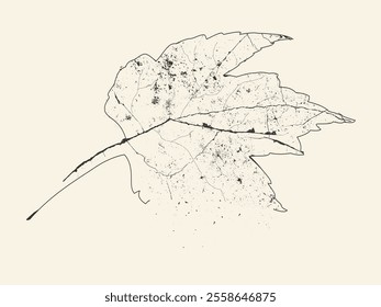 Close-up skeleton dry leaf vein, Realistic autumn foliage. rotting dry leaves, Pattern with autumn leaves. grunge vector Autumn leaf, Fall age leaves, black isolated leaf, esp8