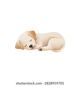 Closeup of a sleeping dog toy