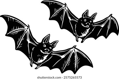 A close-up of the small bat Isolated on white  background vector art illustration 