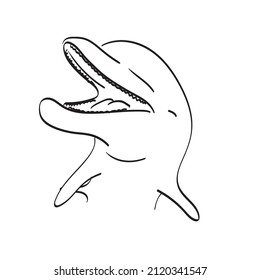 closeup smiling dolphin illustration vector hand drawn isolated on white background line art.