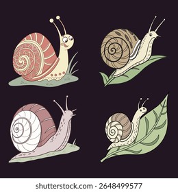 Close-up of a snail on a white background,silhouette