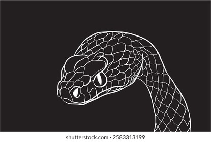 Close-up of a snake's head and neck, showcasing its detailed scales in a captivating illustration