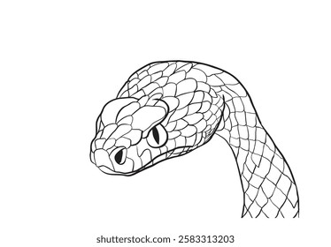 Close-up of a snake's head and neck, showcasing its detailed scales in a captivating illustration