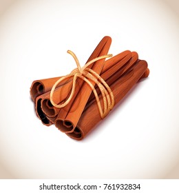 Closeup of some cinnamon sticks, traditional seasoning ingredient, obtained from inner bark of tree species, tied together with lace on vector illustration