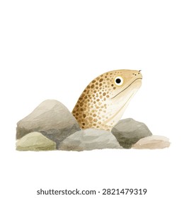 Closeup of spotted eel on rocks