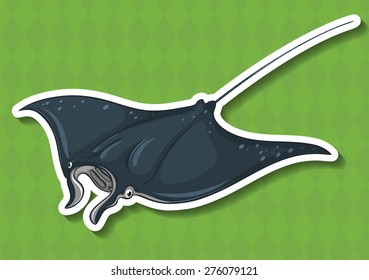 Closeup stingray with green background
