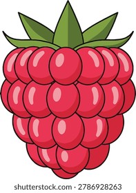 A close-up, stylized illustration of a ripe red raspberry, showcasing its segmented drupelets and green leafy calyx.