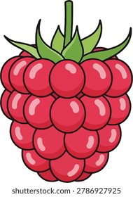 A close-up, stylized illustration of a single, ripe red raspberry with visible drupelets and a green stem with leaves.