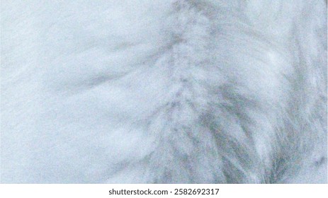 A close-up texture of soft, white cat fur with a delicate, natural pattern.