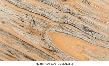 A close-up of a textured wooden surface with deep cracks and natural grain patterns.