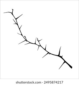 Close-up thorny branch, old dry trunk, tree. Outline dark hand drawn doodle, single element isolated. Doodle. Branch with needles..