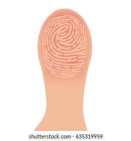 Close-up of thumb with a fingerprint, security concept, colorful flat style vector illustration