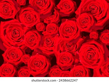 Nahaufnahme von oben von blühenden Haufen roter Rosen in verschiedenen Größen vor dunklem Hintergrund. Abbildung vom 17. März 2024, Zürich, Schweiz.