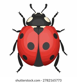 A close-up, top-down view of a ladybug, showcasing its vibrant red elytra and black markings.
