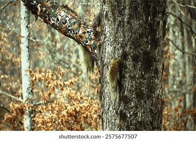 A close-up of tree branches with leaves and camouflage on them, camouflage in the woods, a deer stand by a tree trunk, white oak trees, in an action movie scene, 