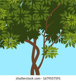Cierre de árboles con hojas verdes aisladas en un fondo azul. Ilustración vectorial.