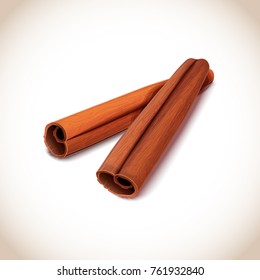 Closeup of two cinnamon sticks placed in centerpiece of poster, piquant spice that is used while serving hot drinks isolated on vector illustration