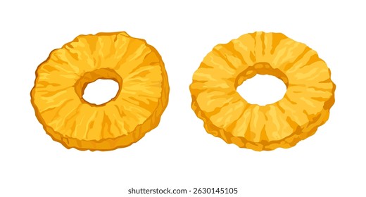 Close-up of two dried pineapple rings with bright yellow color isolated on white background, showing natural texture and detail. Vector illustration