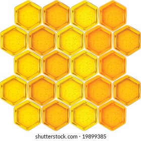 closeup vector honeycells