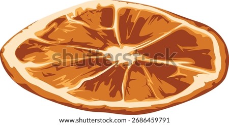 Close-up vector illustration of a dried orange slice, showing the pulp and rind.