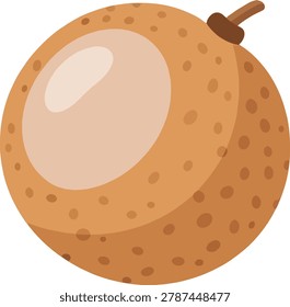 A close-up vector illustration of a whole longan fruit, showcasing its rough, brown skin and a smooth, light-colored interior.
