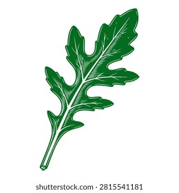 Close-up of a vibrant green arugula leaf, showcasing its detailed texture and fresh appearance, ideal for culinary, health, and organic food themes.
