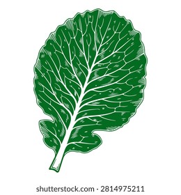 Close-up of a vibrant green leaf showcasing intricate veins and texture, symbolizing freshness and natural health benefits.