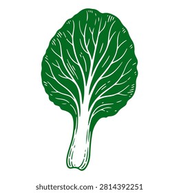 Close-up of a vibrant green lettuce leaf showcasing detailed veins and crisp texture, isolated on a white background.