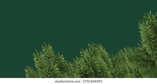 Primer plano de vibrantes agujas de pino verde formando un borde natural en la parte inferior del marco, mostrando la textura y frescura del follaje.