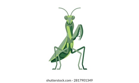 Close-up of a vibrant green praying mantis with detailed body and antennae on dark backdrop suitable for biology studies and nature enthusiasts