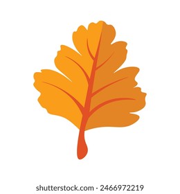 Close-up of a vibrant orange autumn leaf against a plain white backdrop.