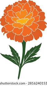 Close-up of Vibrant Orange Marigold Flowers in Golden Sunlight.