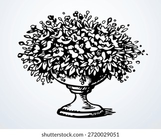 Closeup view big classic elegant fresh old palace wild growth bright green herbal bunch healthy eco grass light marble urn white sky scene text space. Black ink line hand drawn close up rural herb bud hang retro art print style logo sign icon decor