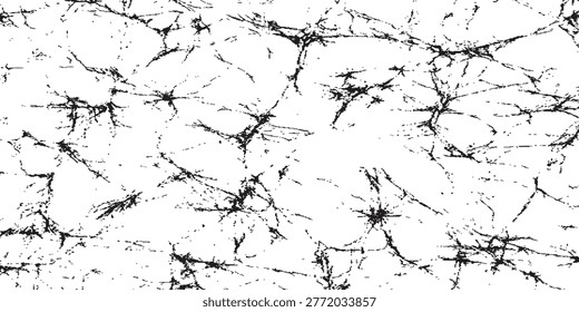 A close-up view of a black and white abstract texture with intricate crack patterns.