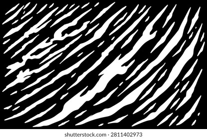 Close-up View of Black and White Zebra Skin Texture Pattern.