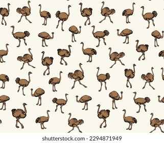 Closeup view cute fast speed go fun old fluffy huge wing tall pet rhea stand sand earth. Dark outline ink hand drawn zoo symbol sign icon design art doodle retro style white paper text space backdrop